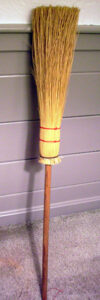 Witches_broom